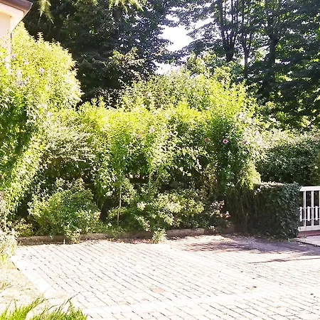 Residenza Alice - Toscana Mare E Monti Camaiore