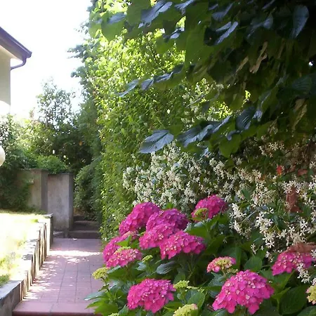 Apartament Residenza Alice - Toscana Mare E Monti Camaiore